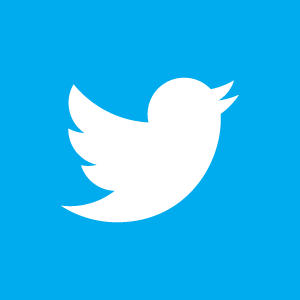 Twitter Icon White on Blue